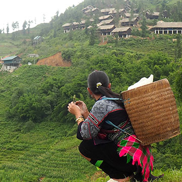 Rencontrer les minorités ethniques à Sapa