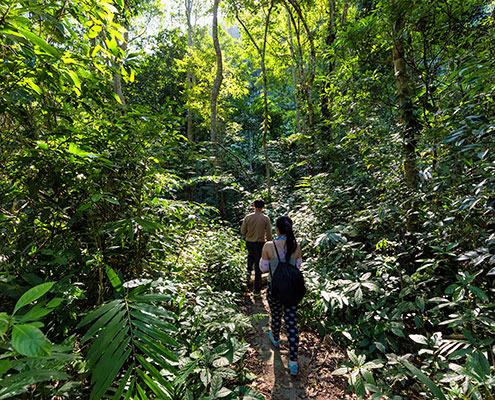 SAD-vietnam-Cat-Ba-495 trek dans la parc de Cat Ba avec Carnets d'Asie