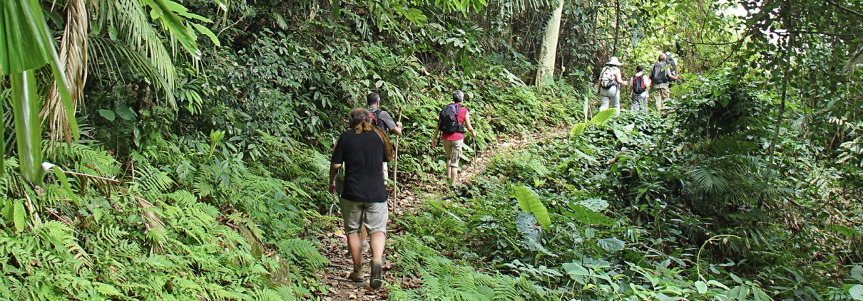 Trek dans le parc national de Ba Be au Vietnam