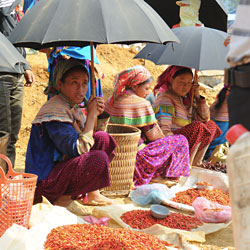 Étales d'épices sur un marché ethnique hebdomadaire dans la région de Bac Ha au nord Vietnam