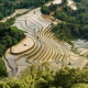 Rizières en terrasse à Hoang Su Phi au nord Vietnam