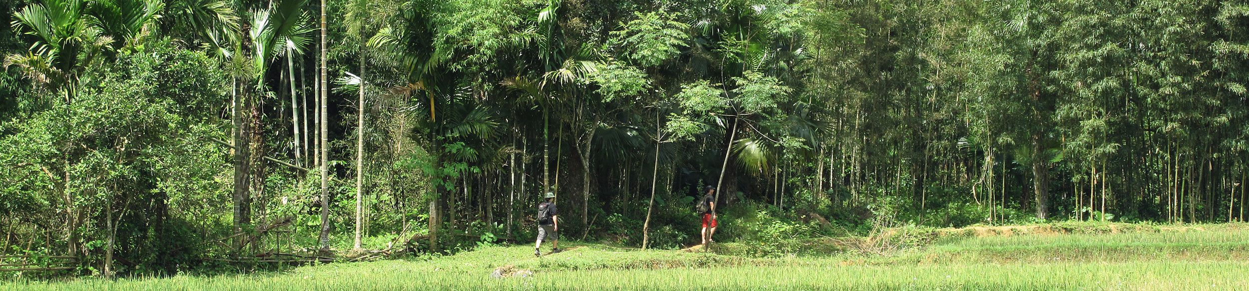 Trek dans la réserve de Ngoc Son Ngo Luong
