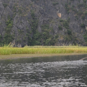 Balade en barque à rame dans la réserve de Van Long près de Ninh Binh