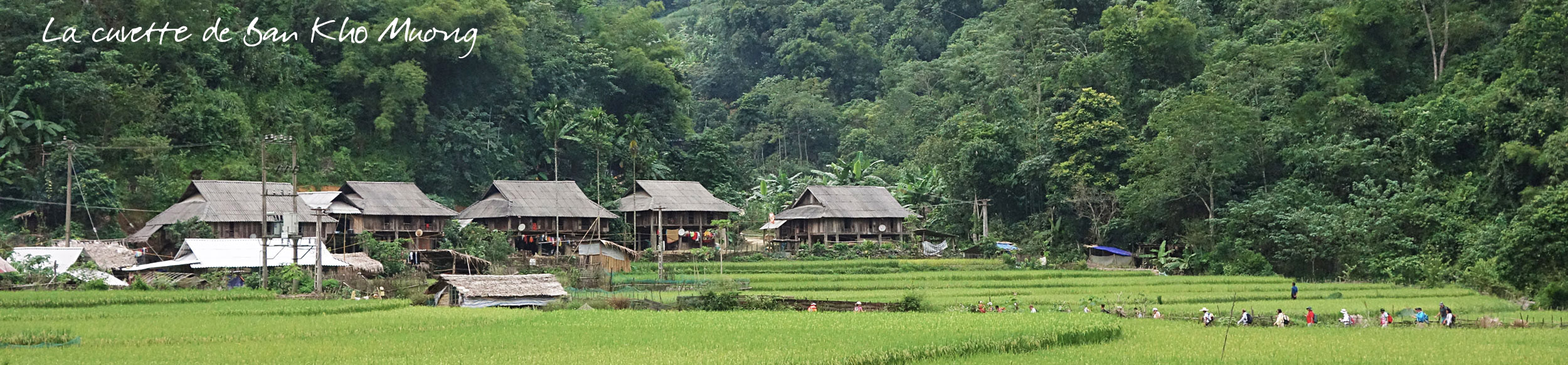 Village de Ban Kho Muong lors d'un trek dans la réserve de Pu Luong au Vietnam