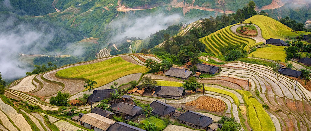 paysages de Ha Giang à la récolte