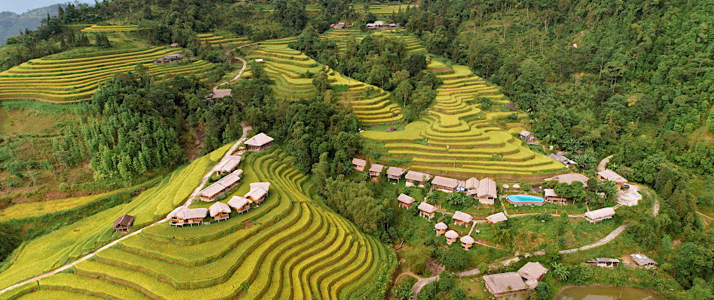 rizières en terrasse de Hoang Su Phi dans la province de Ha Giang