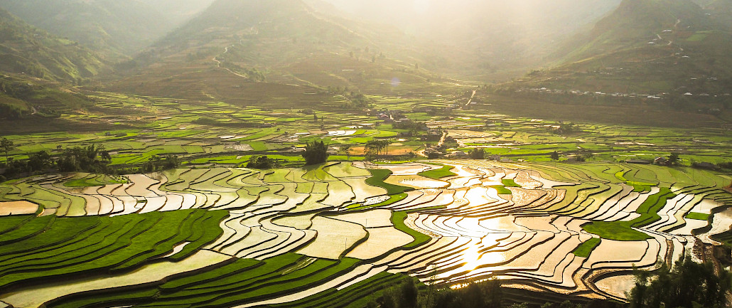 rizières de la vallée de Tu Le à Mu Cang Chai