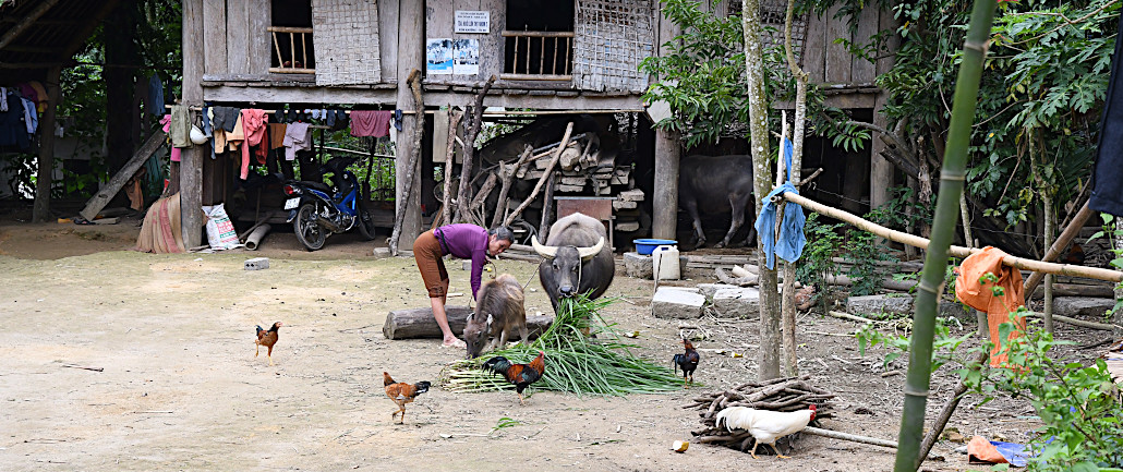 maison de locaux à Ngoc Son Ngo Luong