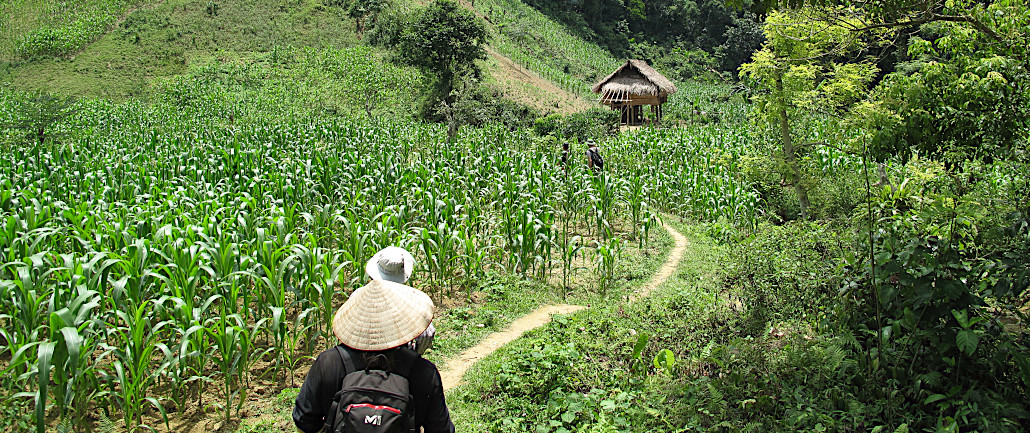 randonnée dans la réserve de Ngoc Son Ngo Luong