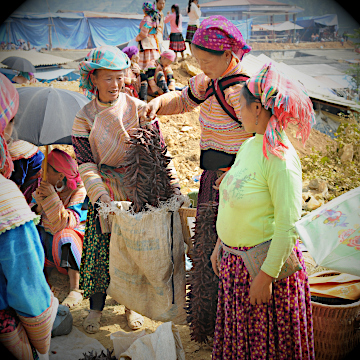 femmes hmong au marché de Can Cau dans les montagnes du nord Vietnam